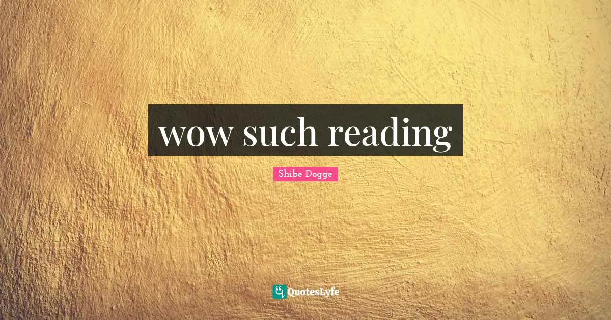 wow such reading