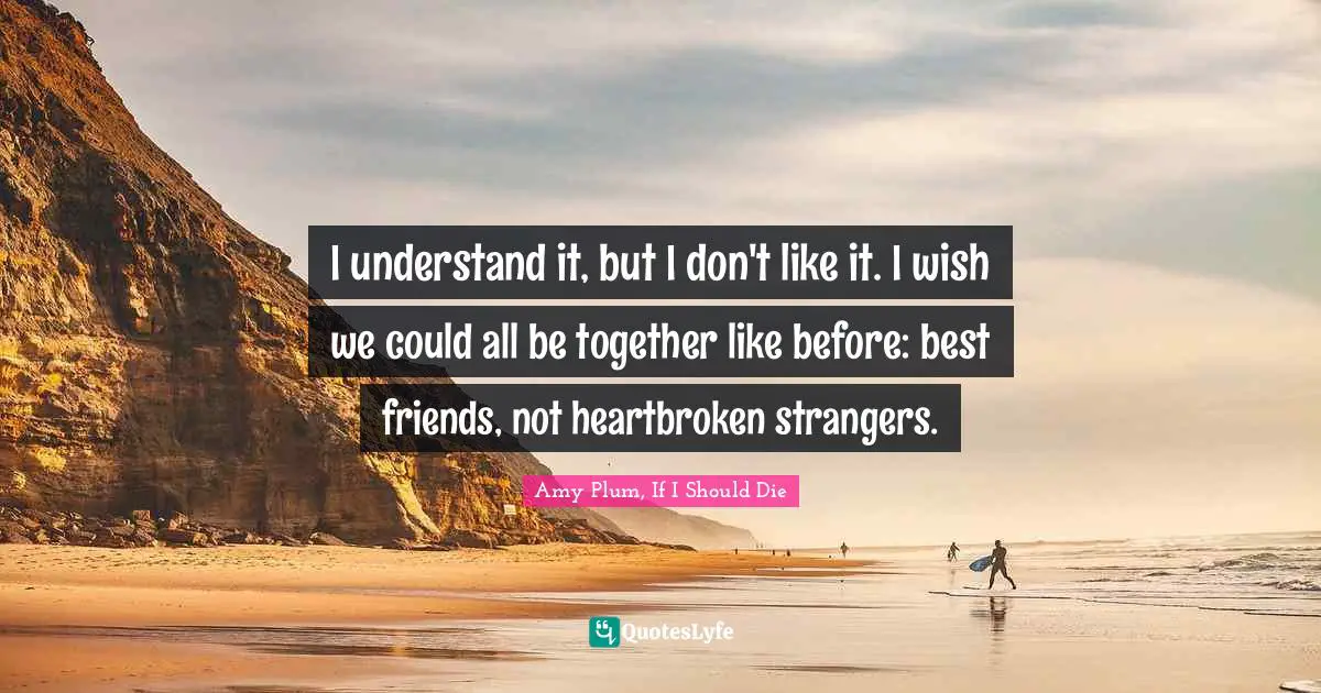 I understand it, but I don't like it. I wish we could all be together like before: best friends, not heartbroken strangers.