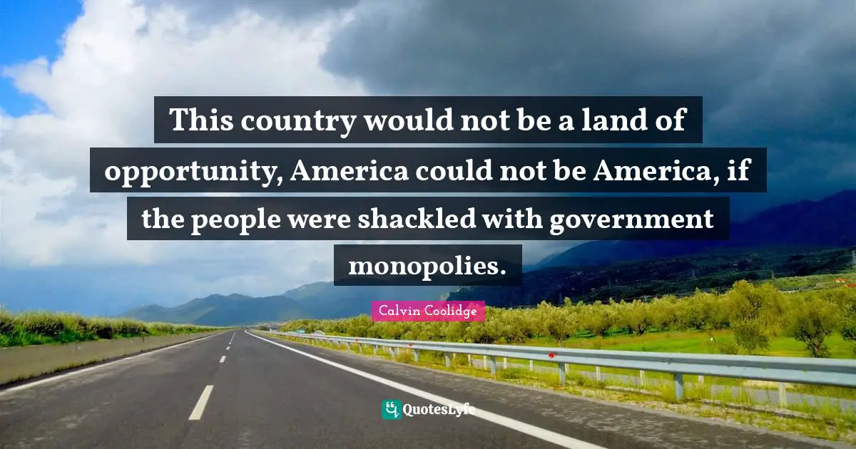 This country would not be a land of opportunity, America could not be America, if the people were shackled with government monopolies.