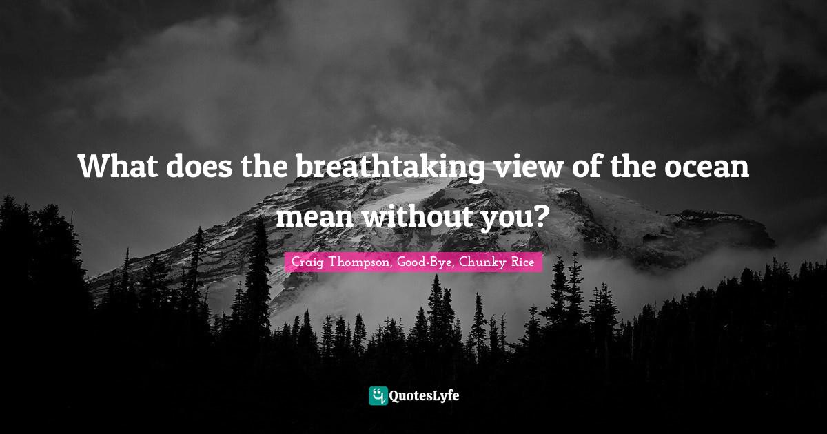 What does the breathtaking view of the ocean mean without you?... Quote