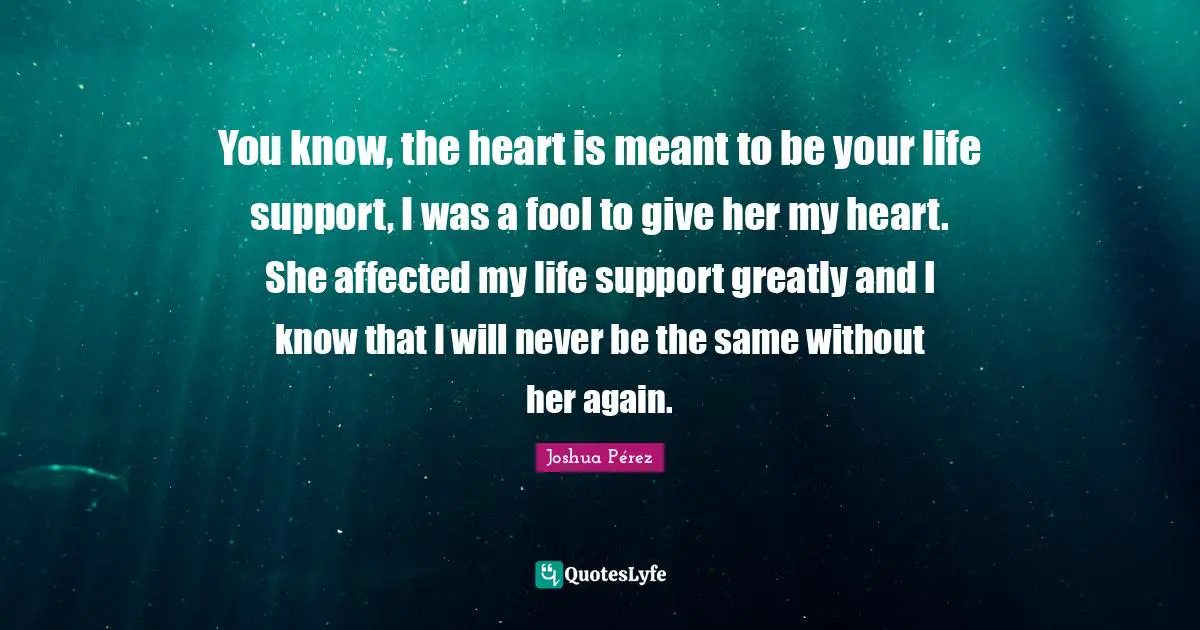 You know, the heart is meant to be your life support, I was a fool to give her my heart. She affected my life support greatly and I know that I will never be the same without her again.