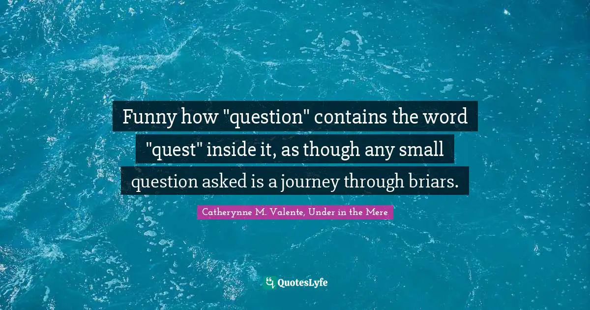 Funny how "question" contains the word "quest" inside it, as though any small question asked is a journey through briars.