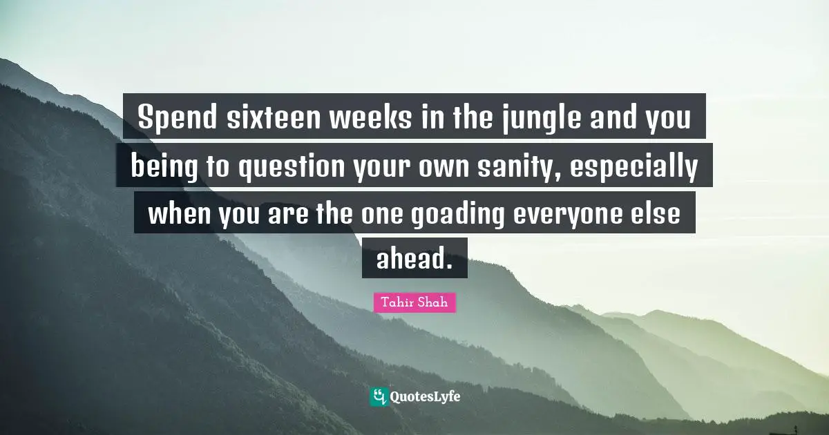 Spend sixteen weeks in the jungle and you being to question your own sanity, especially when you are the one goading everyone else ahead.