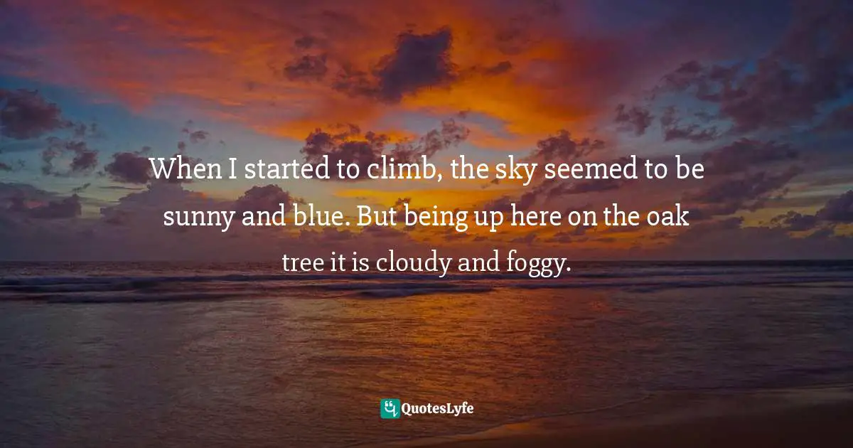 When I started to climb, the sky seemed to be sunny and blue. But being up here on the oak tree it is cloudy and foggy.