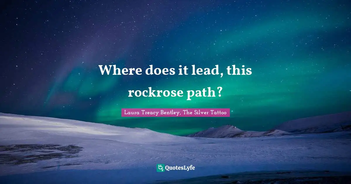 Where does it lead, this rockrose path?