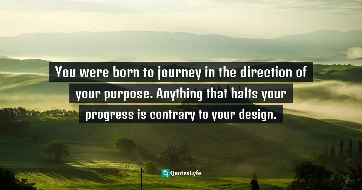 Steve Maraboli, Unapologetically You: Reflections on Life and the Human Experience Quotes: You were born to journey in the direction of your purpose. Anything that halts your progress is contrary to your design.