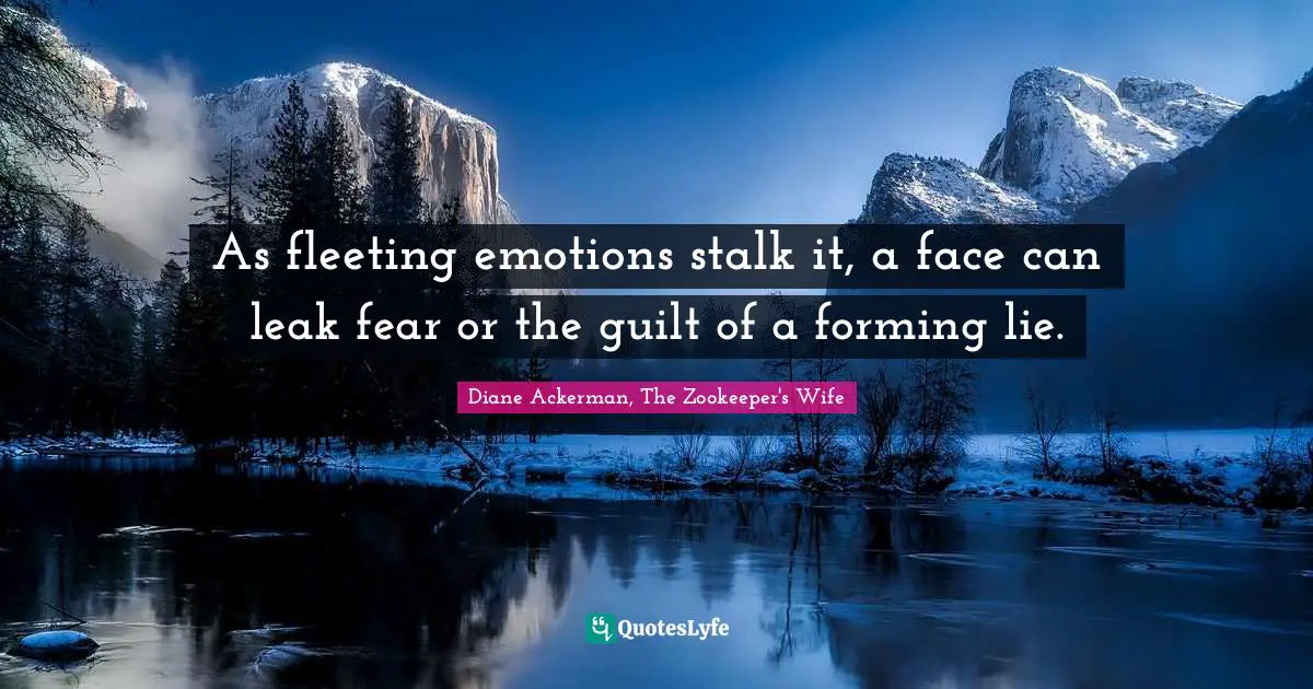 As fleeting emotions stalk it, a face can leak fear or the guilt of a forming lie.