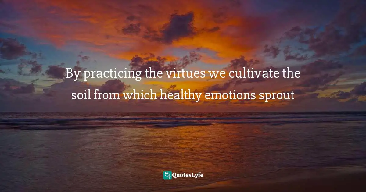 By practicing the virtues we cultivate the soil from which healthy emotions sprout