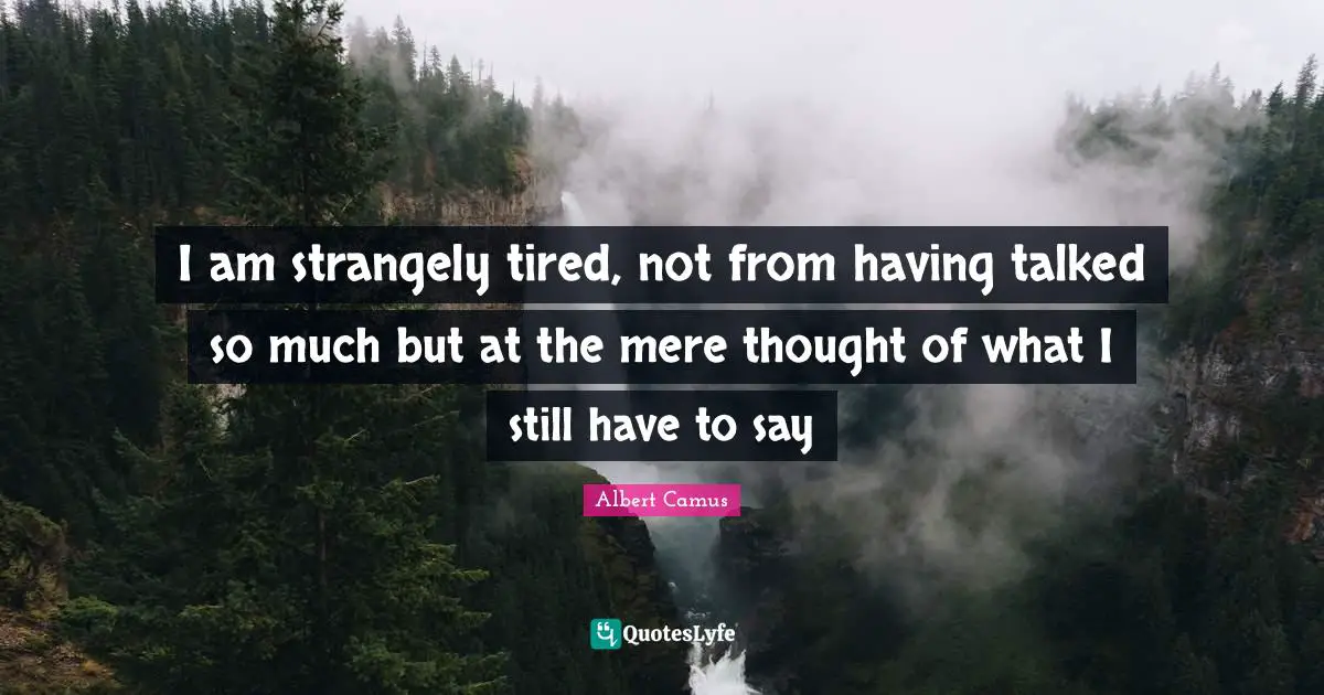 I am strangely tired, not from having talked so much but at the mere thought of what I still have to say