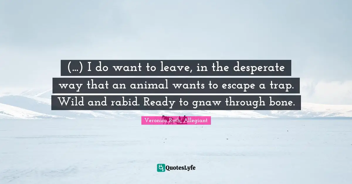 (...) I do want to leave, in the desperate way that an animal wants to escape a trap. Wild and rabid. Ready to gnaw through bone.
