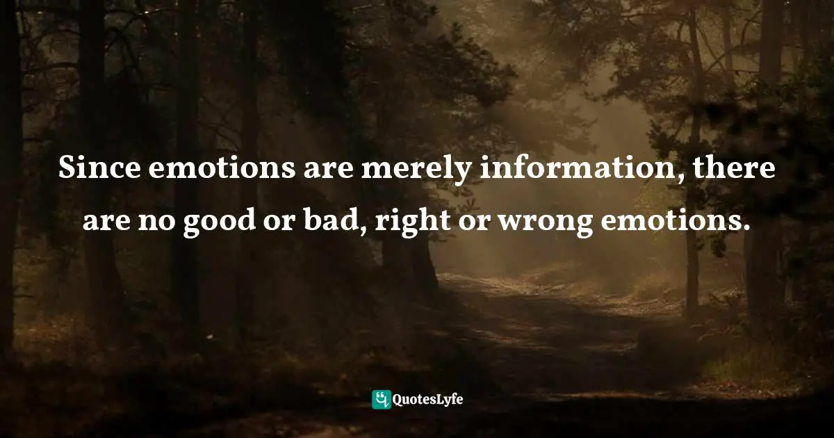 Since emotions are merely information, there are no good or bad, right or wrong emotions.