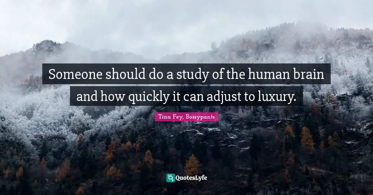 Tina Fey, Bossypants Quotes: "Someone should do a study of the human brain and how quickly it can adjust to luxury."