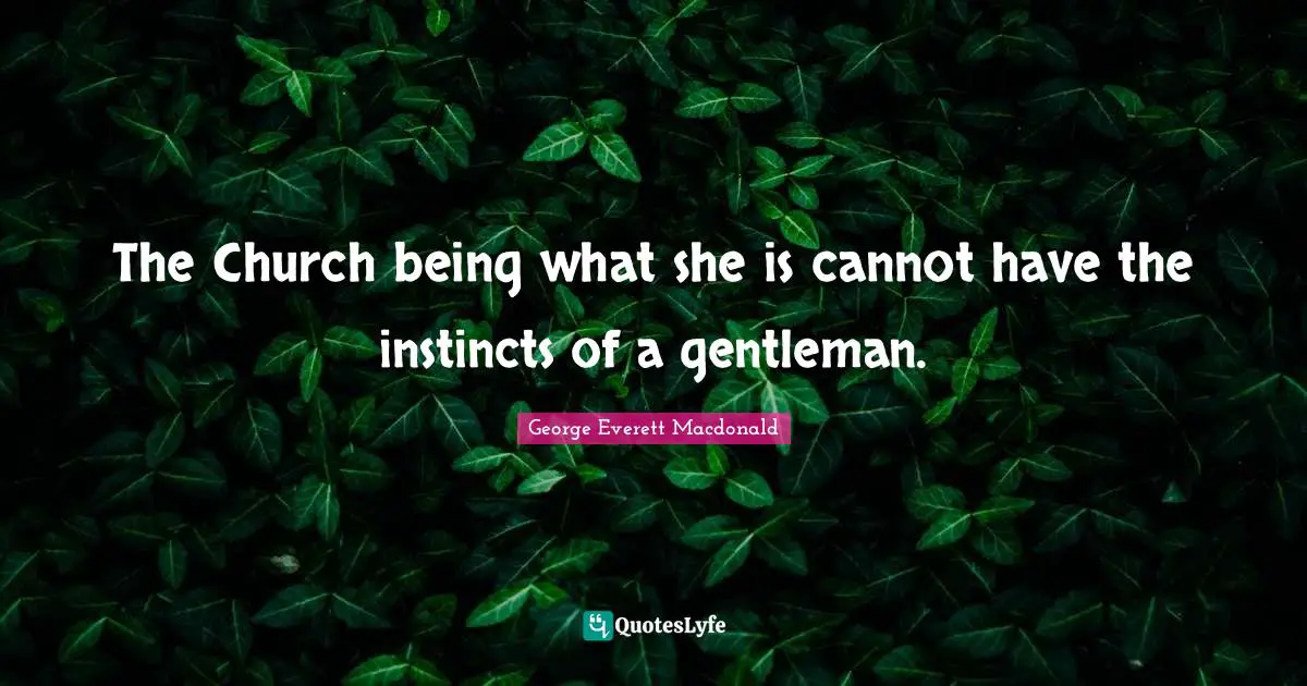The Church being what she is cannot have the instincts of a gentleman.