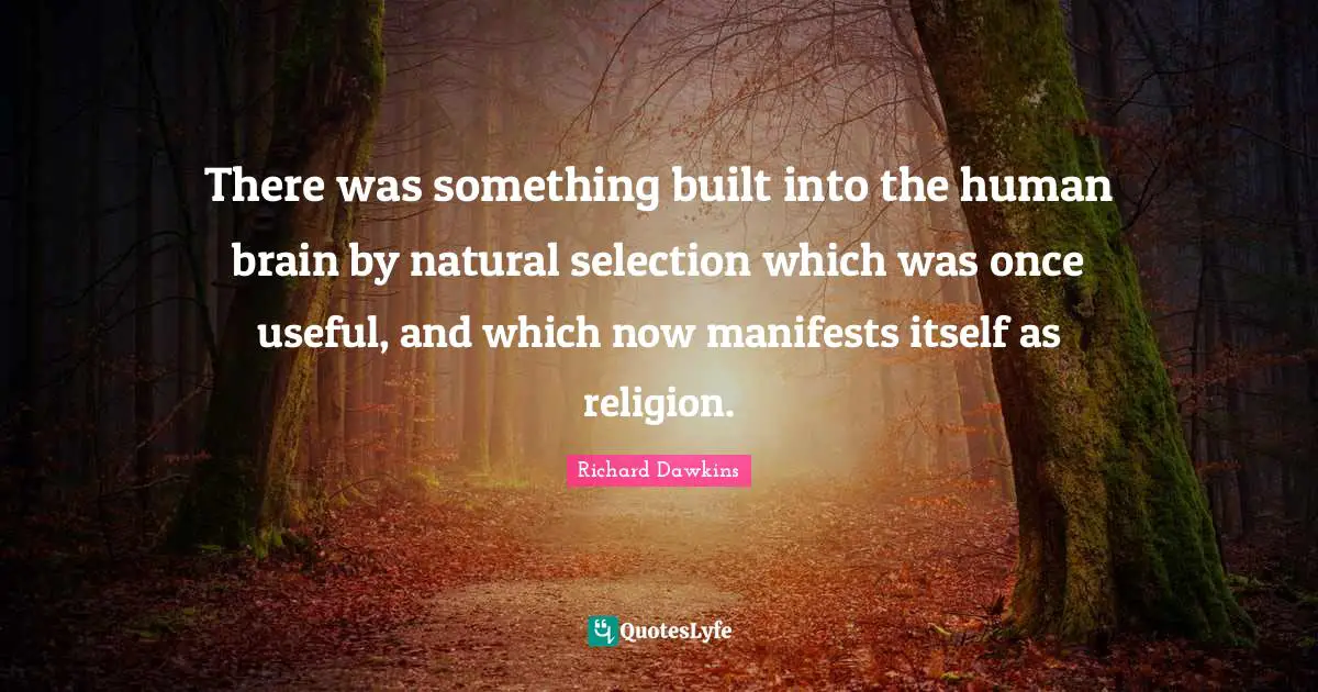 There was something built into the human brain by natural selection which was once useful, and which now manifests itself as religion.