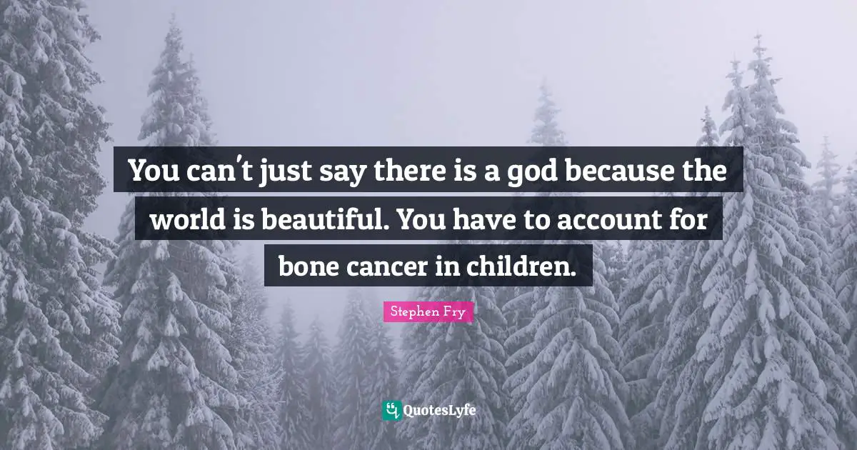You can't just say there is a god because the world is beautiful. You have to account for bone cancer in children.