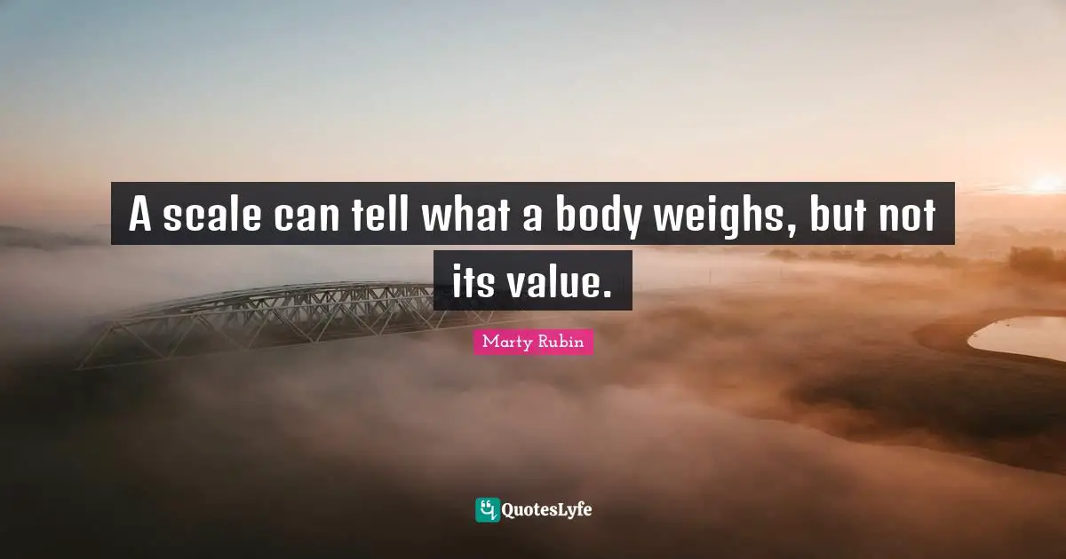 A scale can tell what a body weighs, but not its value.