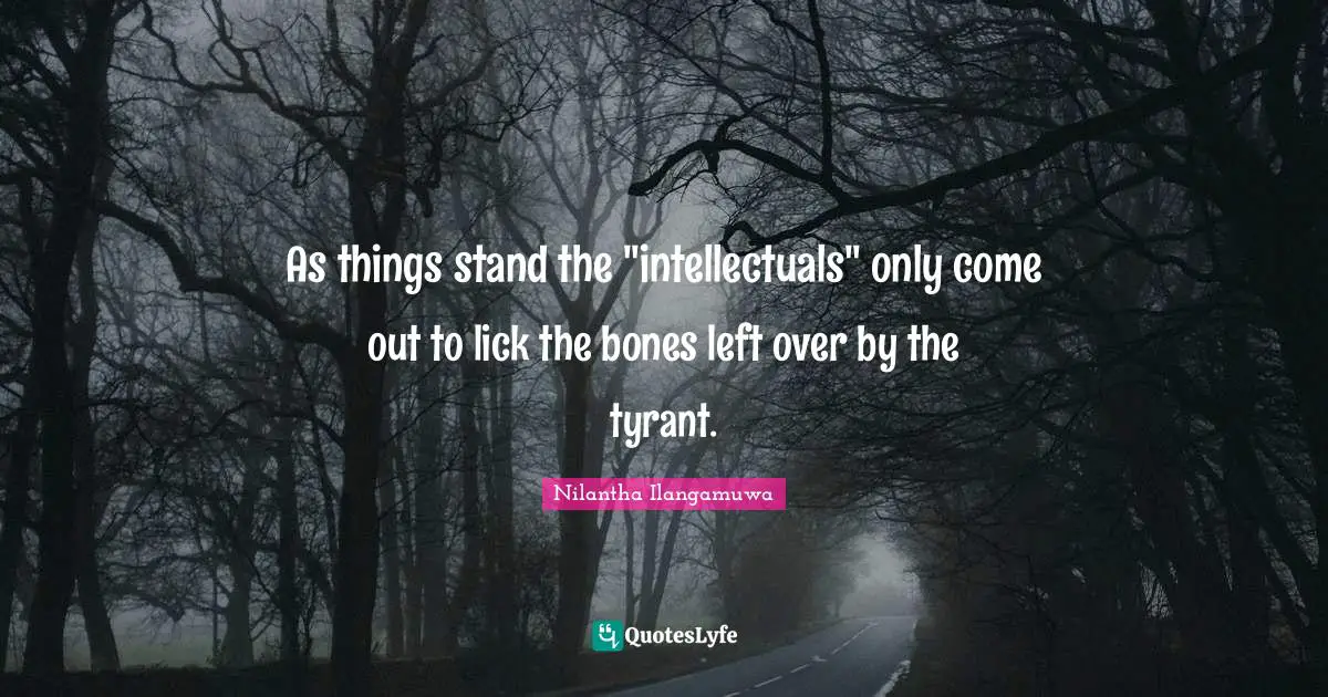 Problem Of Evil Quotes: "As things stand the "intellectuals" only come out to lick the bones left over by the tyrant."