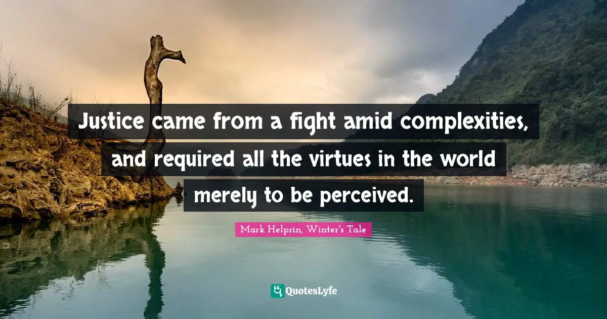 Justice came from a fight amid complexities, and required all the virtues in the world merely to be perceived.