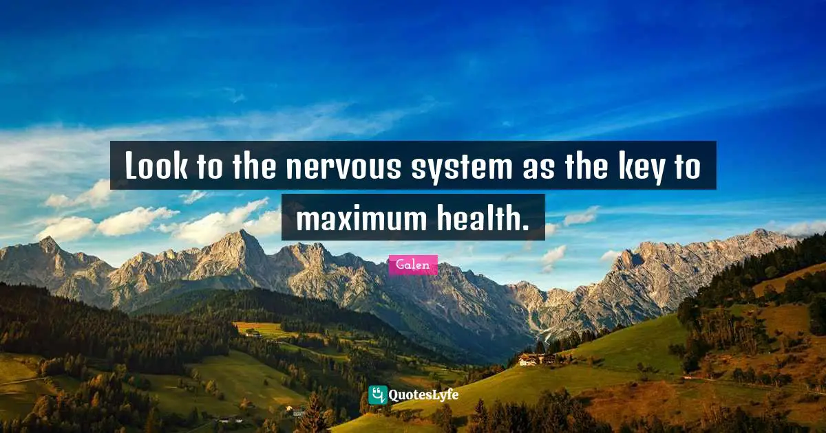 Look to the nervous system as the key to maximum health.
