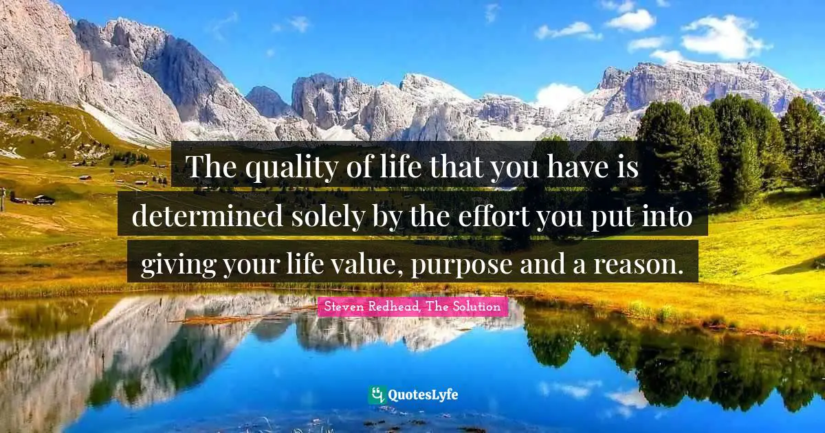 The quality of life that you have is determined solely by the effort you put into giving your life value, purpose and a reason.