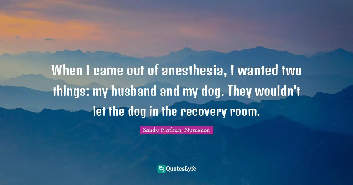When I came out of anesthesia, I wanted two things: my husband and my dog. They wouldn't let the dog in the recovery room.