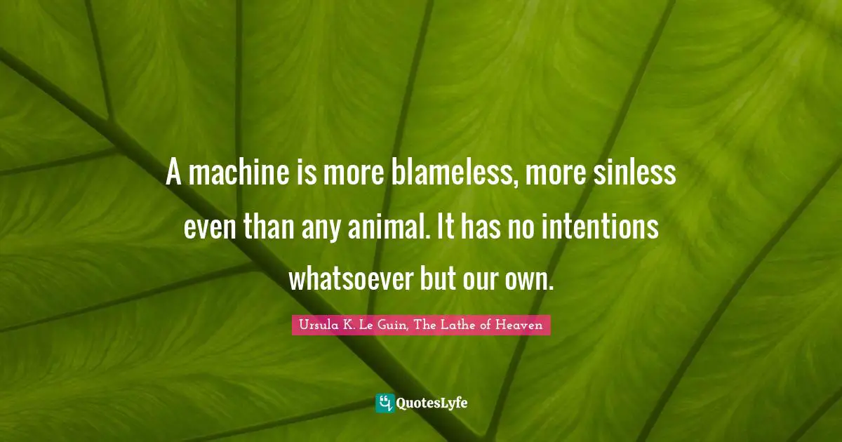 A machine is more blameless, more sinless even than any animal. It has no intentions whatsoever but our own.