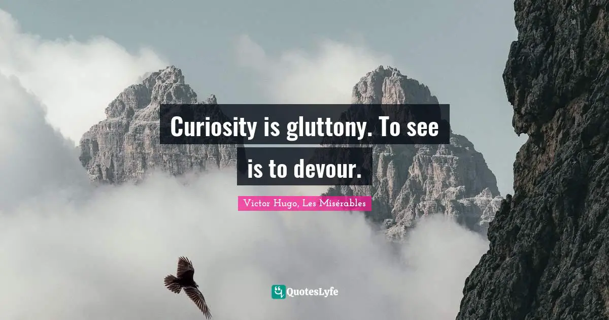 Curiosity is gluttony. To see is to devour.