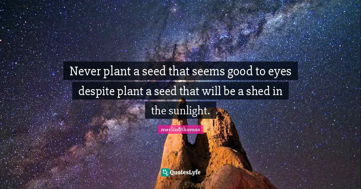 Never plant a seed that seems good to eyes despite plant a seed that will be a shed in the sunlight.