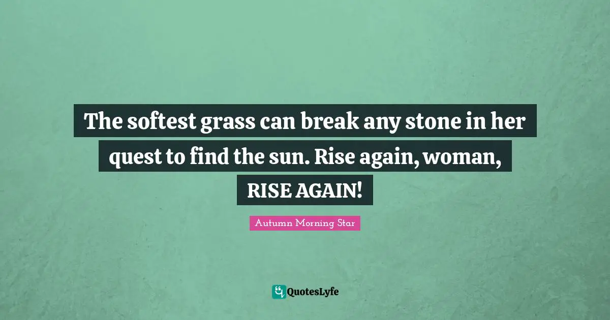 The softest grass can break any stone in her quest to find the sun. Rise again, woman, RISE AGAIN!