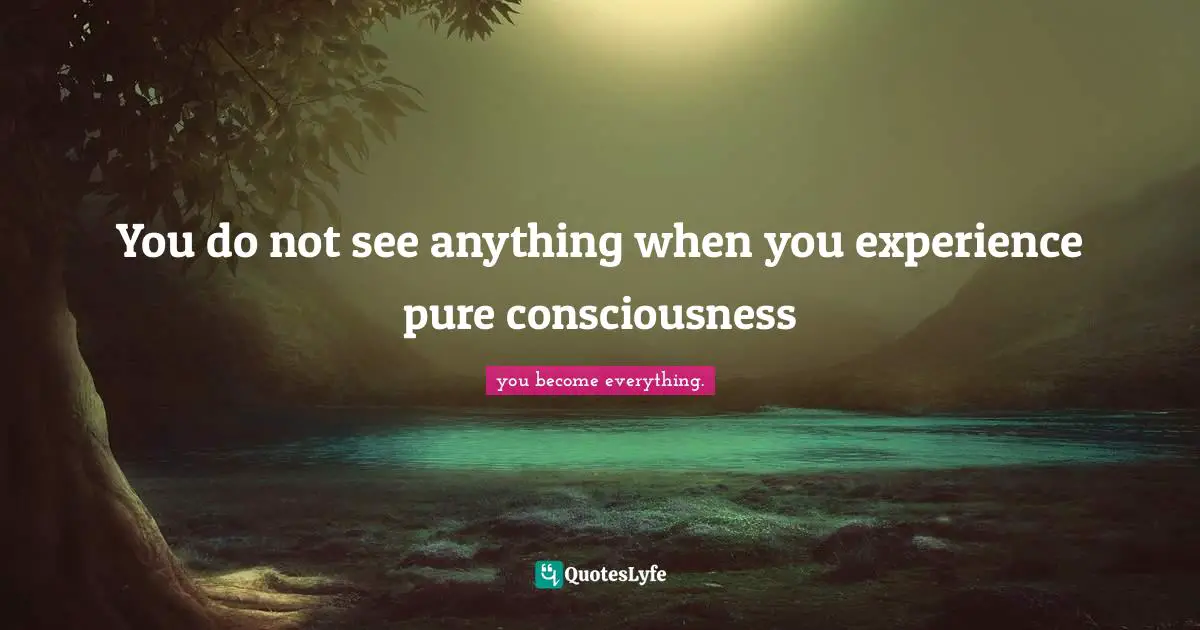 You do not see anything when you experience pure consciousness