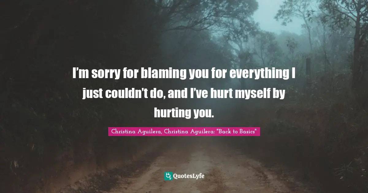 I’m sorry for blaming you for everything I just couldn’t do, and I’ve hurt myself by hurting you.