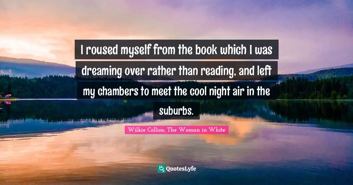 I roused myself from the book which I was dreaming over rather than reading, and left my chambers to meet the cool night air in the suburbs.