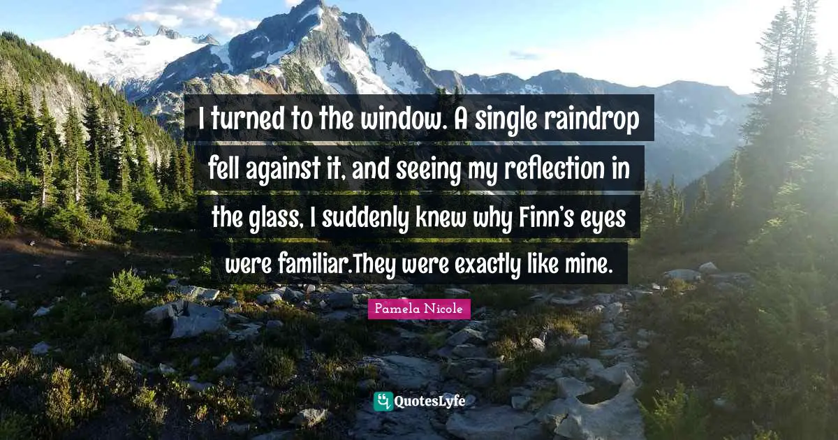 I turned to the window. A single raindrop fell against it, and seeing my reflection in the glass, I suddenly knew why Finn’s eyes were familiar.They were exactly like mine.