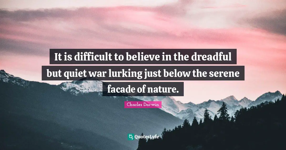 It is difficult to believe in the dreadful but quiet war lurking just below the serene facade of nature.