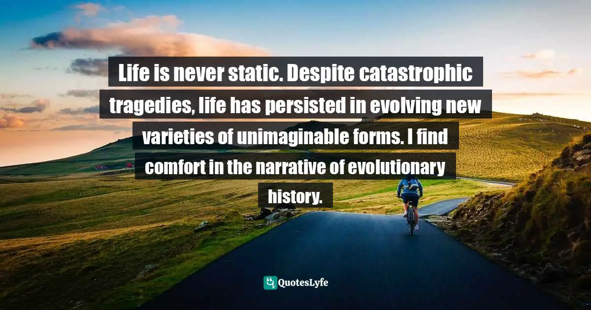 Life is never static. Despite catastrophic tragedies, life has persisted in evolving new varieties of unimaginable forms. I find comfort in the narrative of evolutionary history.