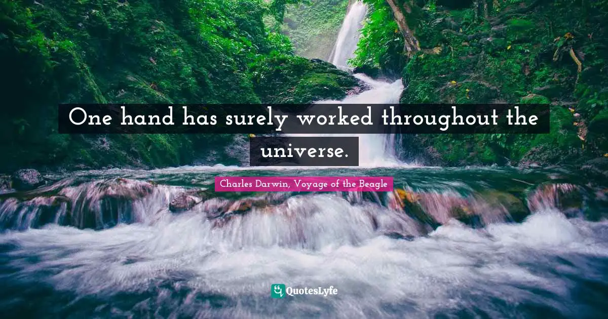 One hand has surely worked throughout the universe.