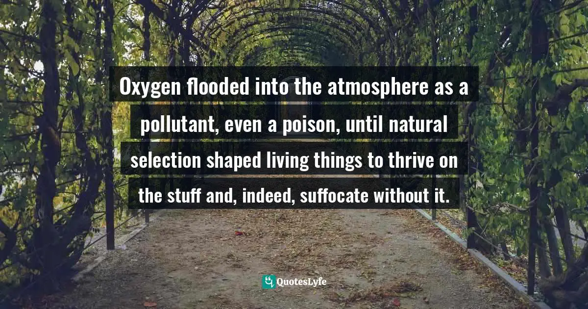 Oxygen flooded into the atmosphere as a pollutant, even a poison, until natural selection shaped living things to thrive on the stuff and, indeed, suffocate without it.