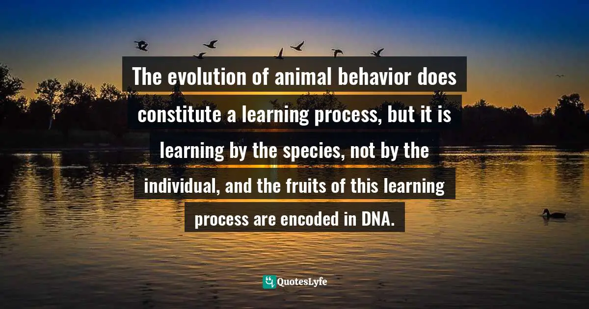The evolution of animal behavior does constitute a learning process, but it is learning by the species, not by the individual, and the fruits of this learning process are encoded in DNA.