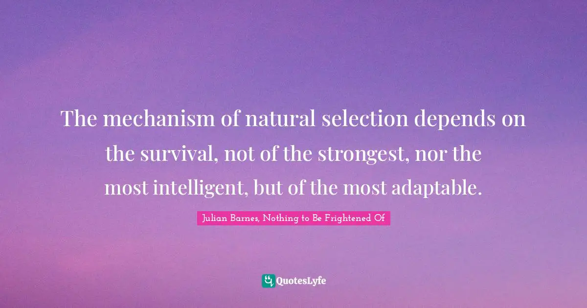 The mechanism of natural selection depends on the survival, not of the strongest, nor the most intelligent, but of the most adaptable.