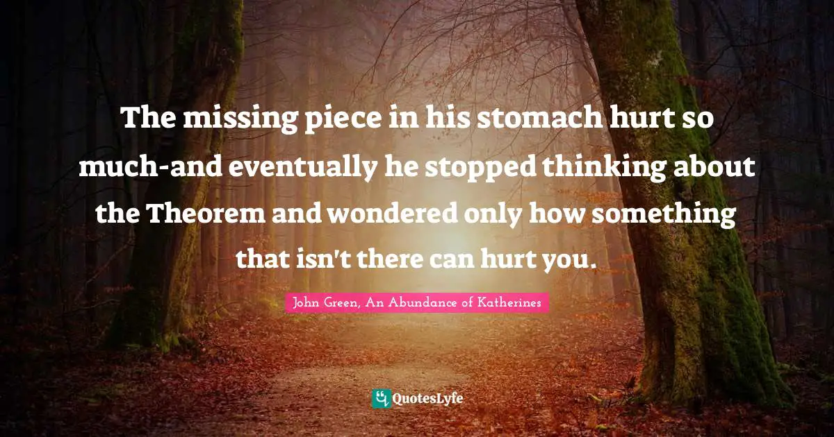 The missing piece in his stomach hurt so much-and eventually he stopped thinking about the Theorem and wondered only how something that isn't there can hurt you.
