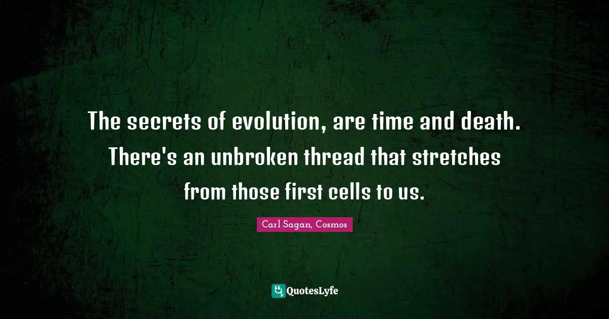 The secrets of evolution, are time and death. There's an unbroken thread that stretches from those first cells to us.