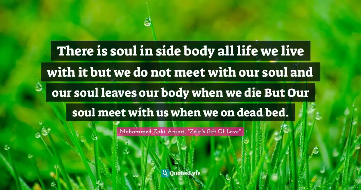 There is soul in side body all life we live with it but we do not meet with our soul and our soul leaves our body when we die But Our soul meet with us when we on dead bed.