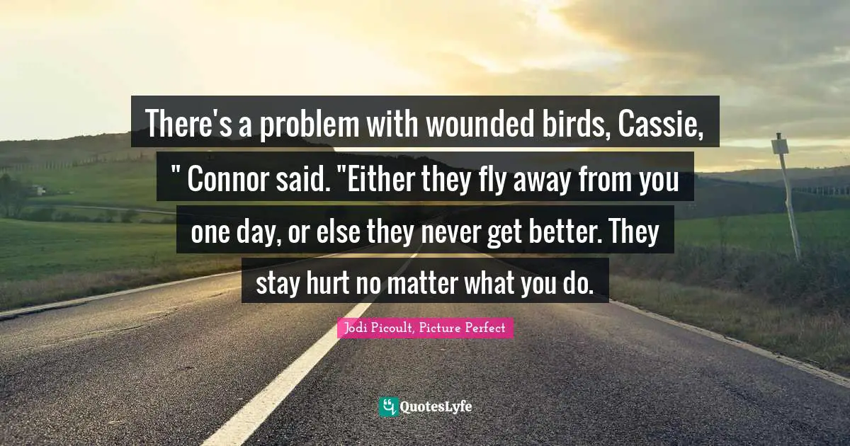 There's a problem with wounded birds, Cassie, " Connor said. "Either they fly away from you one day, or else they never get better. They stay hurt no matter what you do.