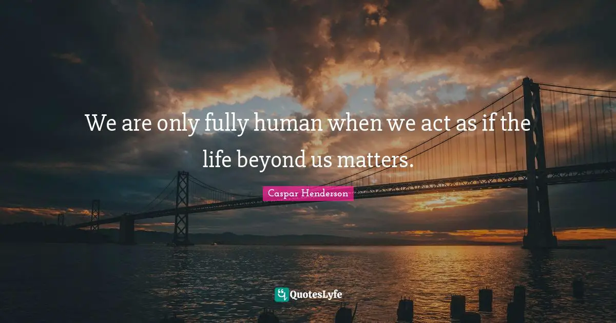 We are only fully human when we act as if the life beyond us matters.