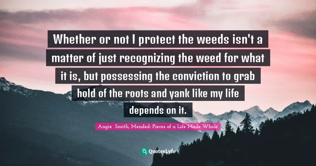 Whether or not I protect the weeds isn't a matter of just recognizing the weed for what it is, but possessing the conviction to grab hold of the roots and yank like my life depends on it.