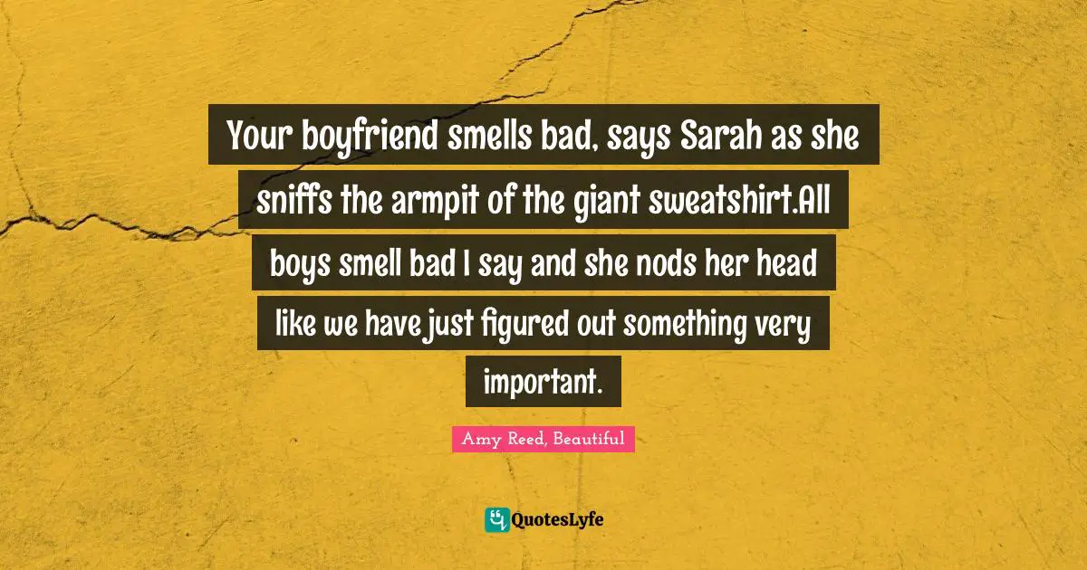 Your boyfriend smells bad, says Sarah as she sniffs the armpit of the giant sweatshirt.All boys smell bad I say and she nods her head like we have just figured out something very important.