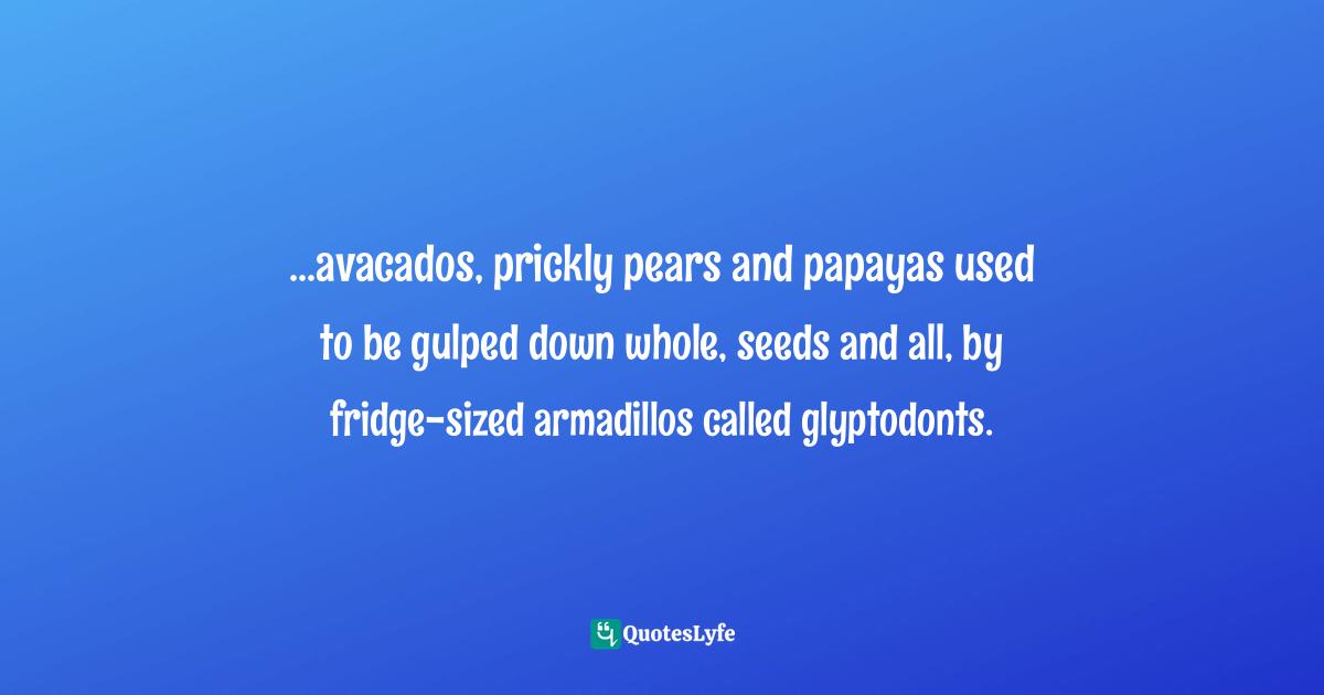 ...avacados, prickly pears and papayas used to be gulped down whole, seeds and all, by fridge-sized armadillos called glyptodonts.