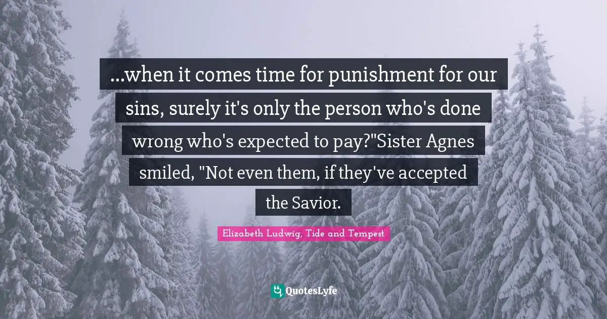 ...when it comes time for punishment for our sins, surely it's only the person who's done wrong who's expected to pay?"Sister Agnes smiled, "Not even them, if they've accepted the Savior.