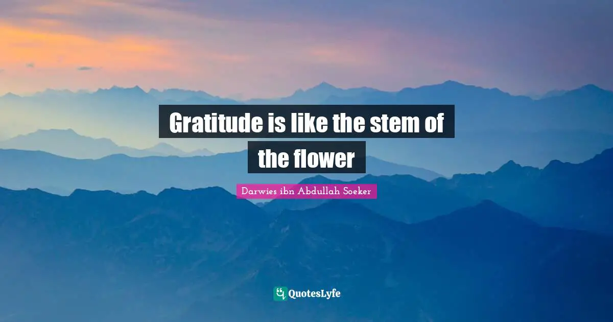 Gratitude is like the stem of the flower