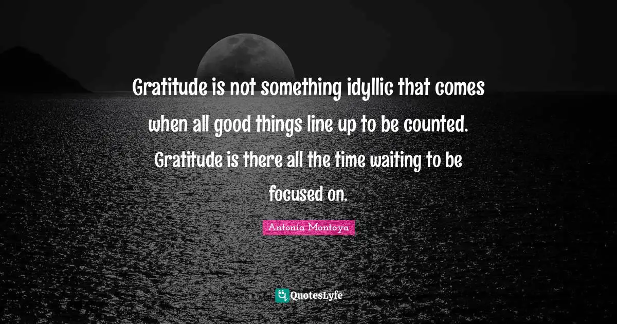 Gratitude is not something idyllic that comes when all good things line up to be counted. Gratitude is there all the time waiting to be focused on.